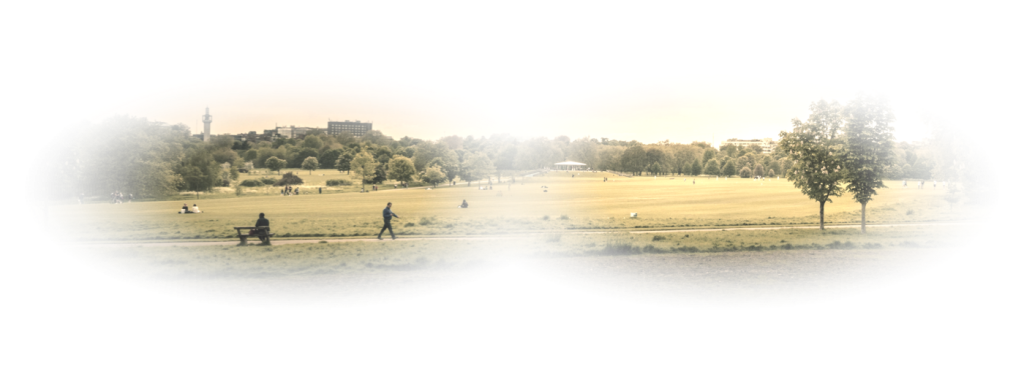 Cats also have binocular vision, so that one eye’s field of vision will always be covered by the other. Furthermore, this characteristic allows them to have three dimensional vision to judge the distance, depth and size of what is around them.